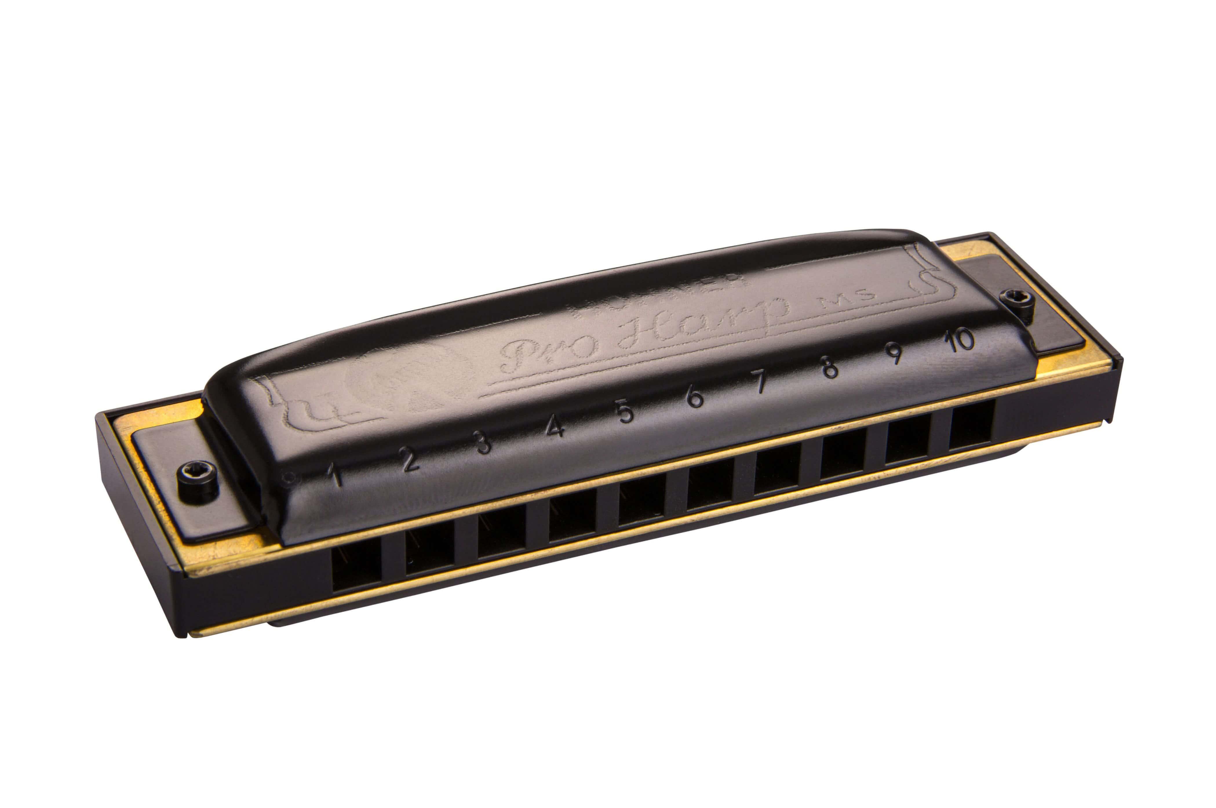 Hohner - Armónica Pro Harp en Re Mayor (D) 560/20 Mod.M564036X_82