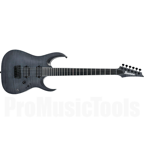 Ibañez - Guitarra Eléctrica RGA Iron Label, Color  Gris Mod.RGAIX6FM-TGF_202