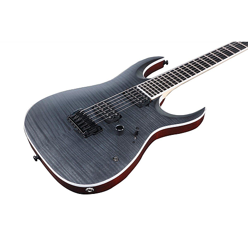 Ibañez - Guitarra Eléctrica RGA Iron Label, Color  Gris Mod.RGAIX6FM-TGF_204